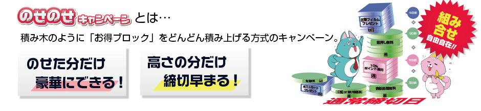 のせのせキャンペーンとは