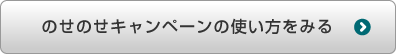 のせのせキャンペーンの使い方をみる