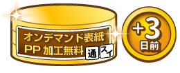 オンデマンド表紙PP加工無料