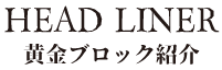 黄金ブロック紹介