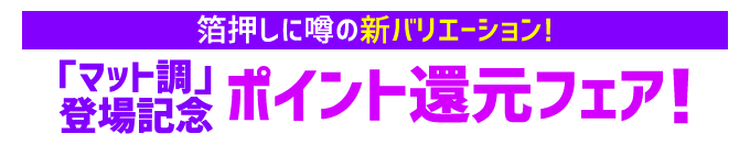 箔押しに噂の新バリエーション「マット調」登場記念ポイント還元フェア！