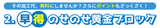 のせのせ黄金ブロック