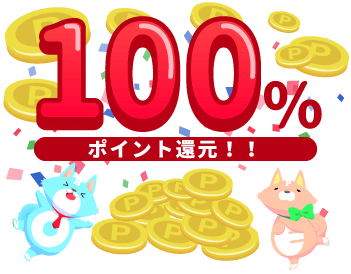 100%ポイント還元