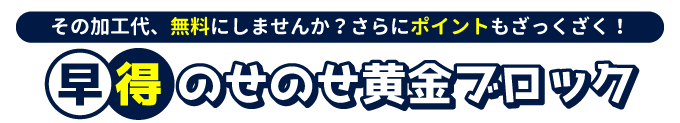 のせのせ黄金ブロック