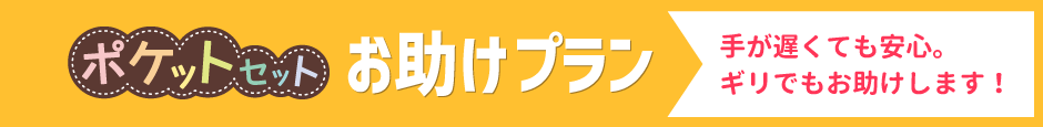 ポケットお助けプラン